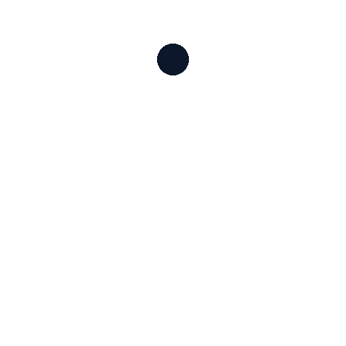 disc